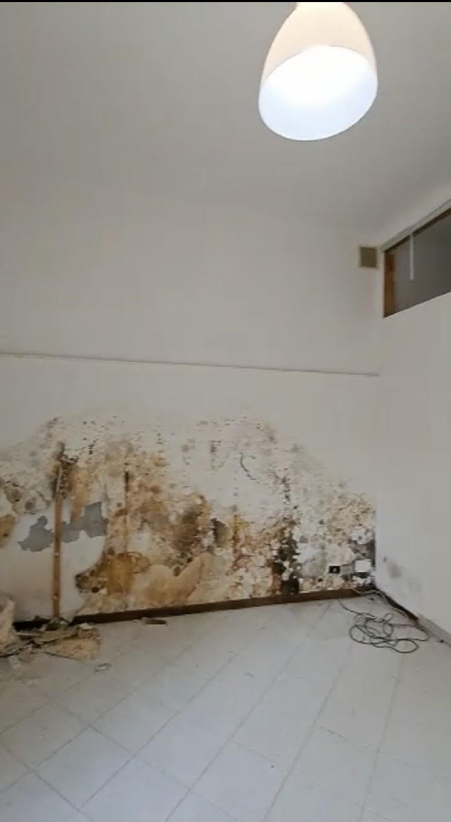 MUFFA DA UMIDITÀ DI RISALITA