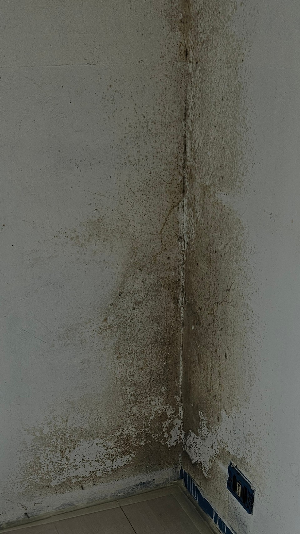 Prima